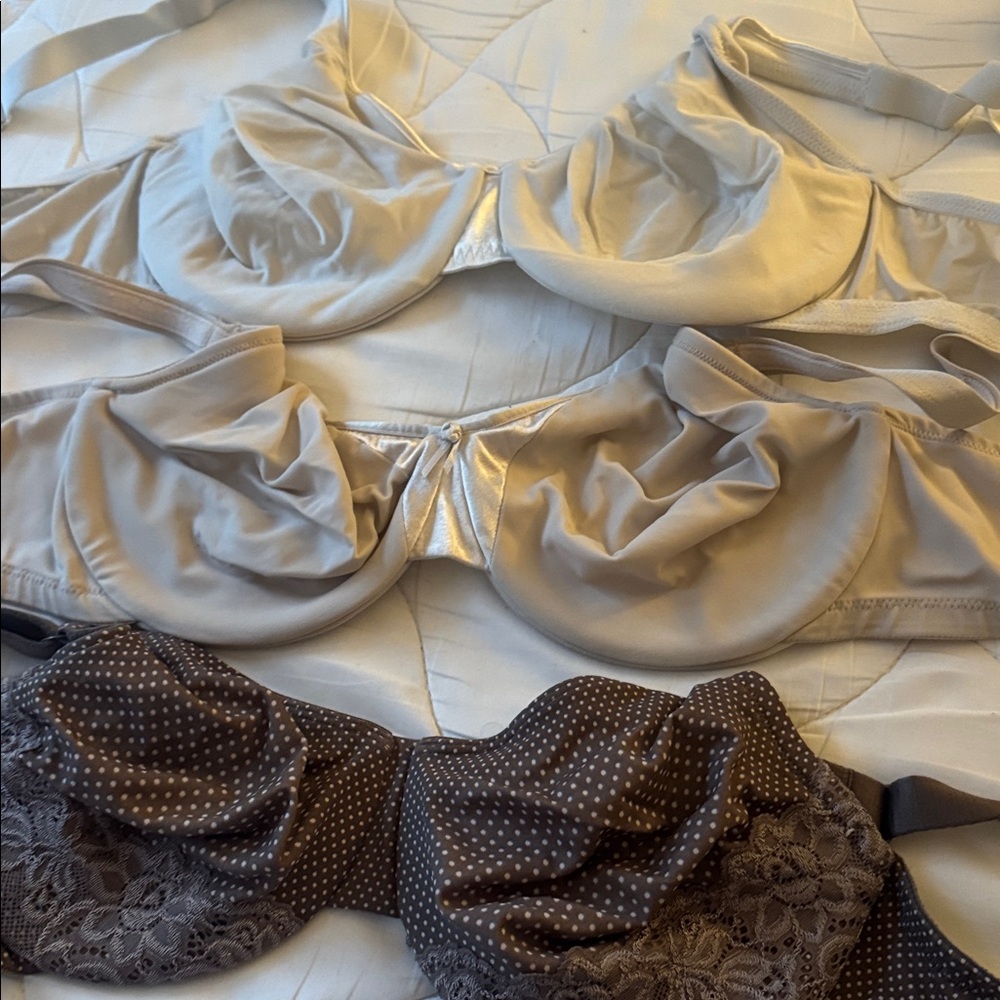 Olga Lace and Polka Dot Bra Set - Cream and Brown - Picture 4 of 6